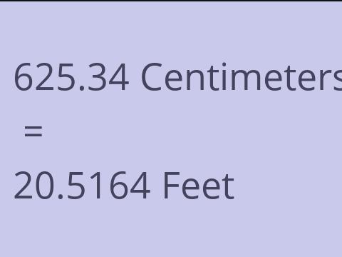 625.34 CM TO FEET