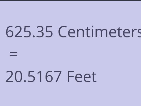 625.35 CM TO FEET