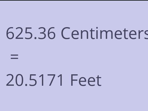 625.36 CM TO FEET