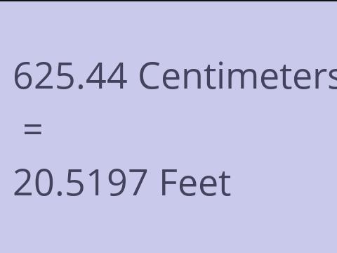 625.44 CM TO FEET