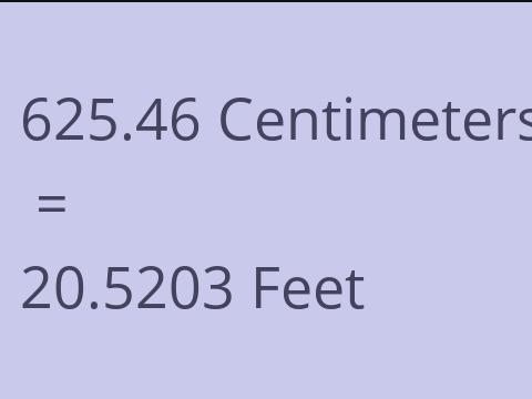 625.46 CM TO FEET