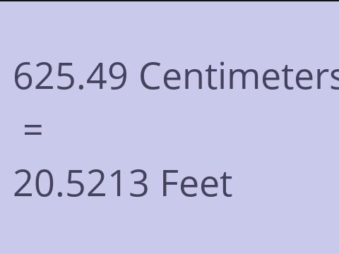 625.49 CM TO FEET