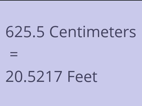 625.5 CM TO FEET