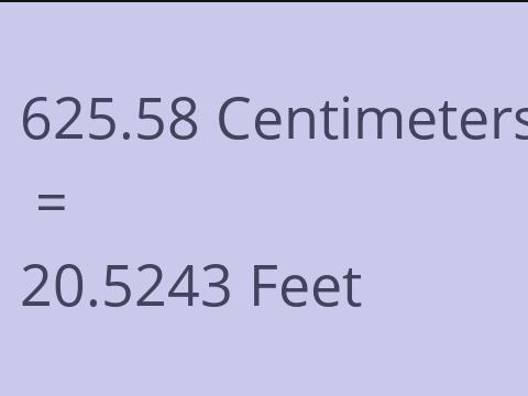 625.58 CM TO FEET