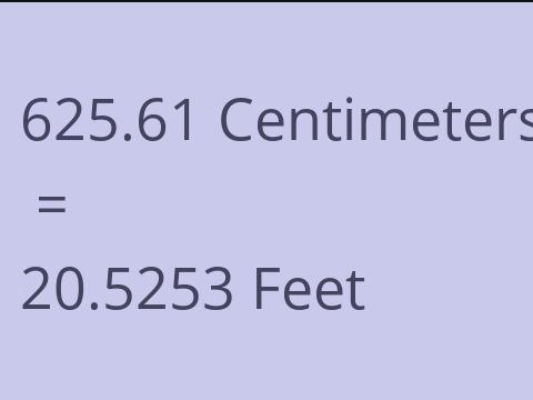 625.61 CM TO FEET