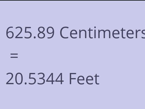 625.89 CM TO FEET