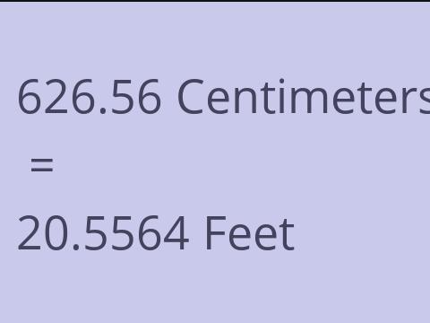 626.56 CM TO FEET