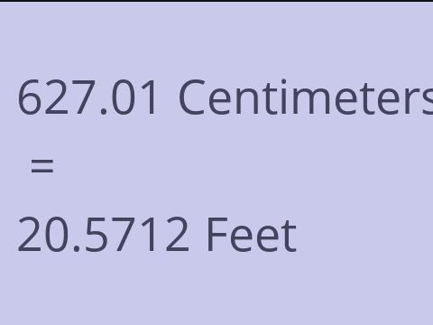 627.01 CM TO FEET