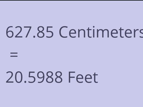 627.85 CM TO FEET