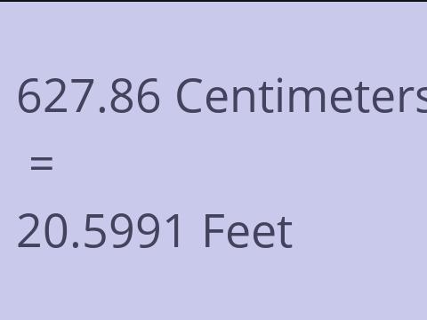 627.86 CM TO FEET