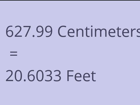 627.99 CM TO FEET