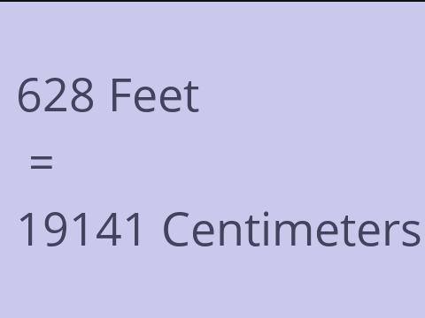 628 FEET TO CM