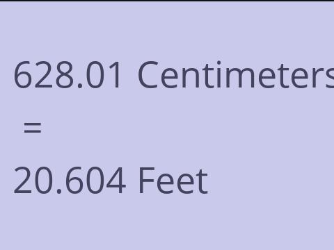 628.01 CM TO FEET