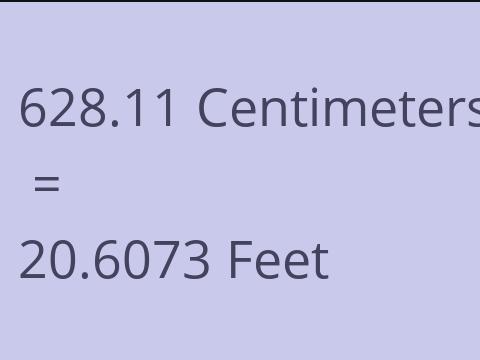 628.11 CM TO FEET