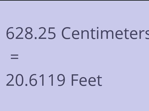 628.25 CM TO FEET