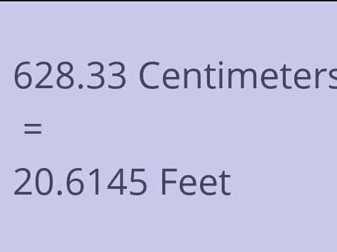 628.33 CM TO FEET