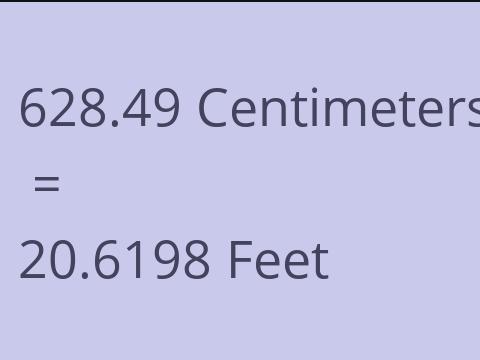 628.49 CM TO FEET