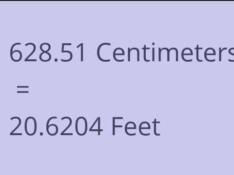 628.51 CM TO FEET