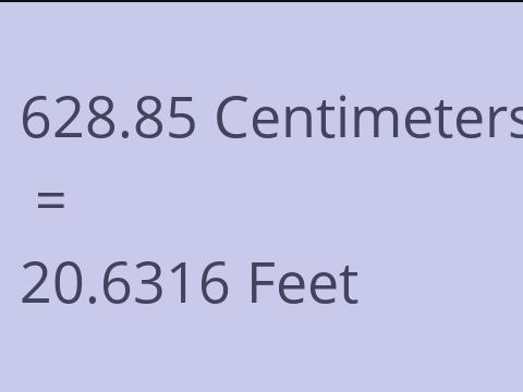 628.85 CM TO FEET