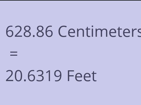 628.86 CM TO FEET