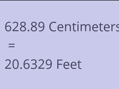 628.89 CM TO FEET