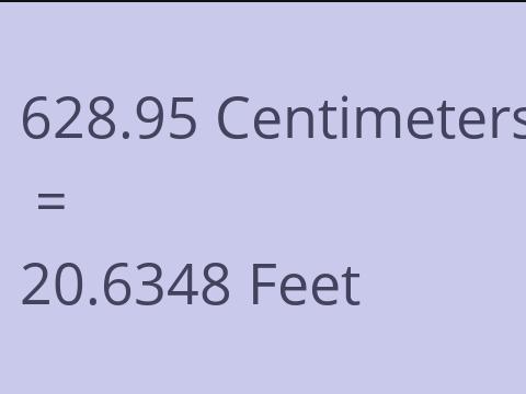 628.95 CM TO FEET