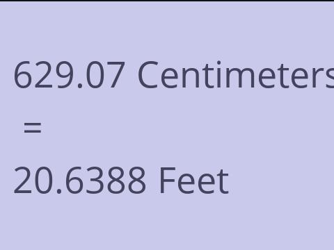 629.07 CM TO FEET