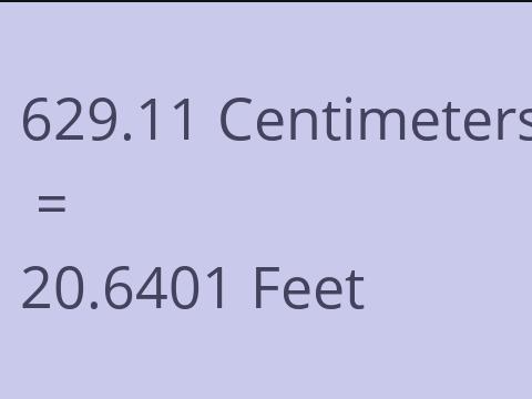 629.11 CM TO FEET