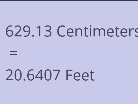 629.13 CM TO FEET