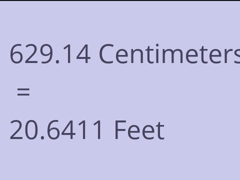 629.14 CM TO FEET