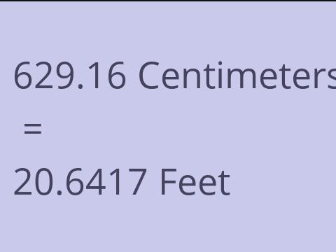 629.16 CM TO FEET