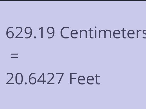 629.19 CM TO FEET