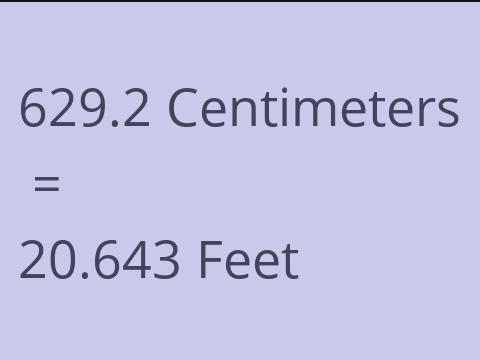 629.2 CM TO FEET