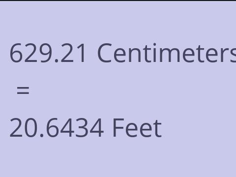 629.21 CM TO FEET