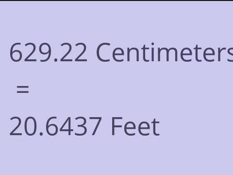 629.22 CM TO FEET