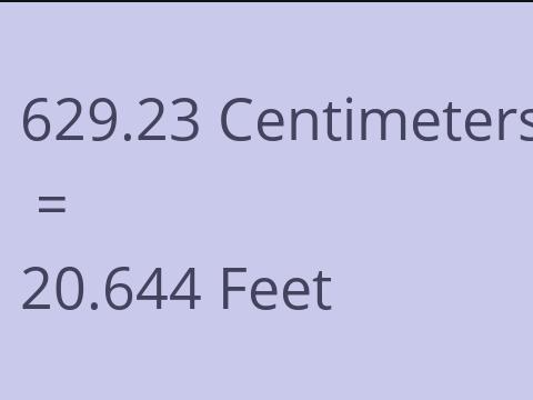 629.23 CM TO FEET