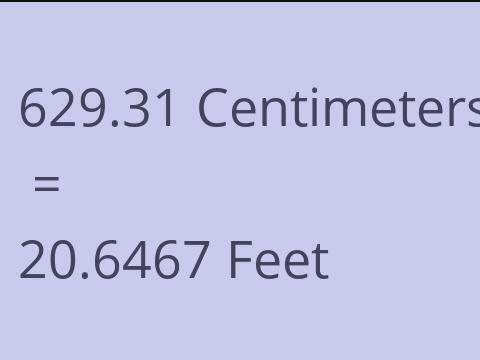 629.31 CM TO FEET