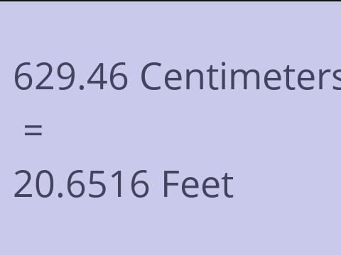 629.46 CM TO FEET