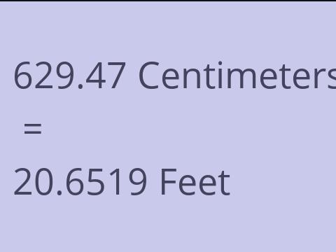 629.47 CM TO FEET