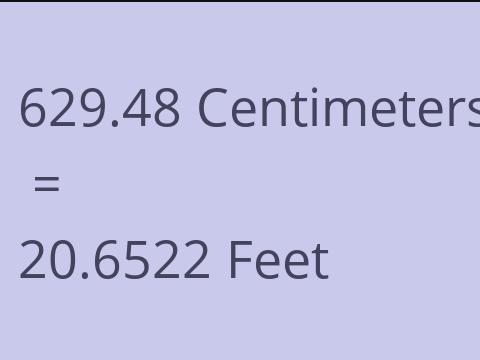 629.48 CM TO FEET