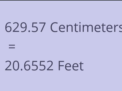 629.57 CM TO FEET