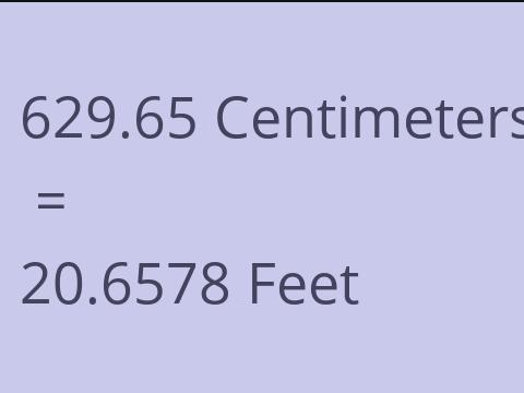 629.65 CM TO FEET