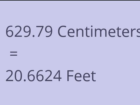 629.79 CM TO FEET