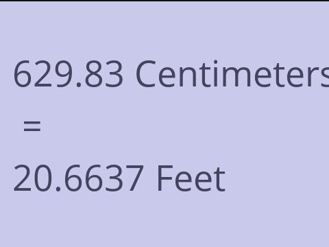 629.83 CM TO FEET