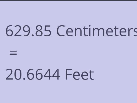 629.85 CM TO FEET