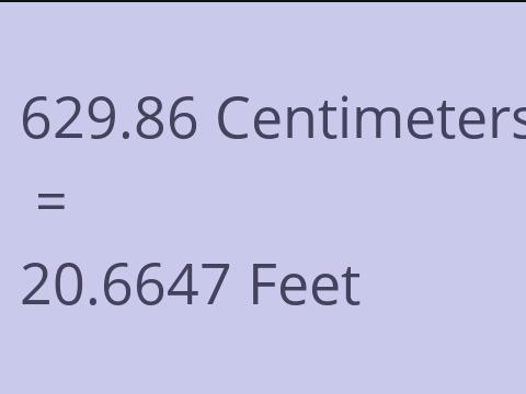 629.86 CM TO FEET