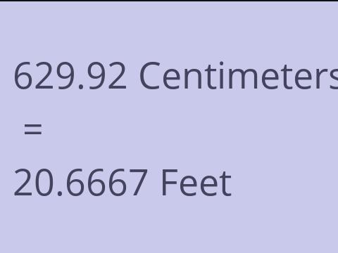 629.92 CM TO FEET