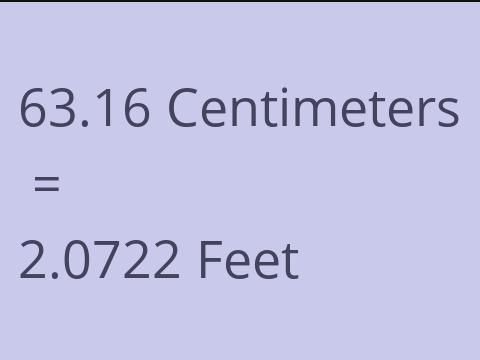 63.16 CM TO FEET