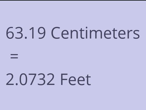 63.19 CM TO FEET