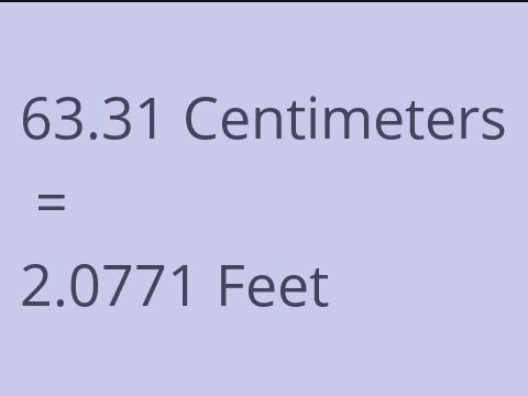 63.31 CM TO FEET